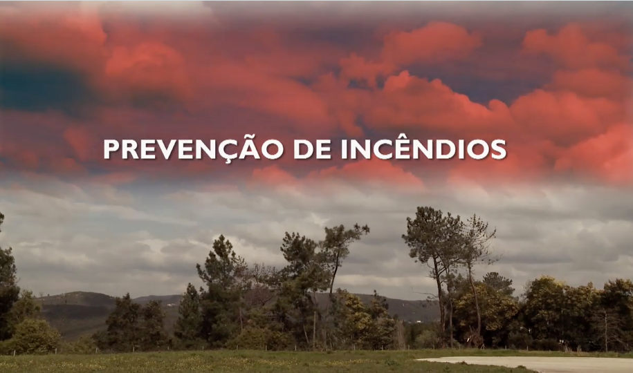 Screen Shot 2016-06-29 at 10.18.54