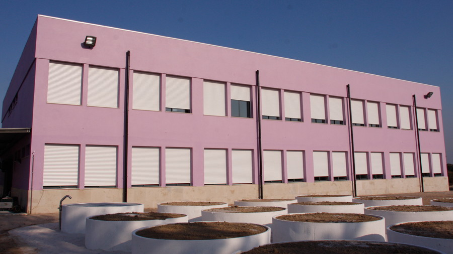 escola-jose-saramago