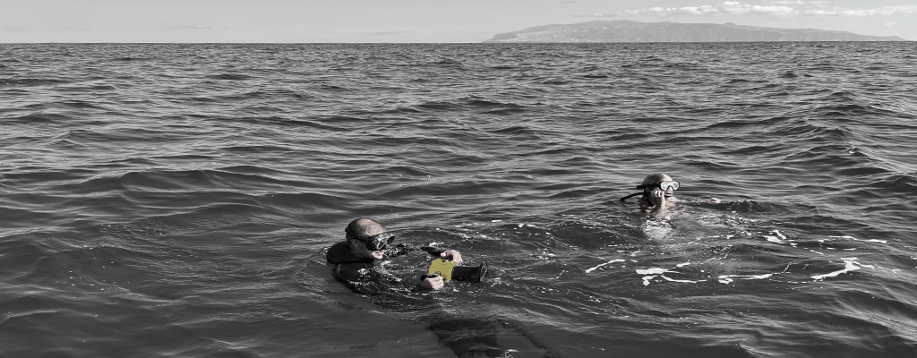 Equipa_Scuba-Açores_2025